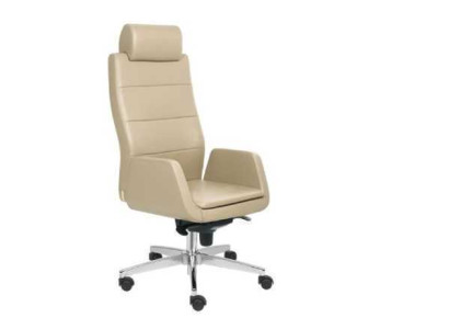 Beige office chair luxury swivel chair executive chair Office Furnishings sfurniture Armchair